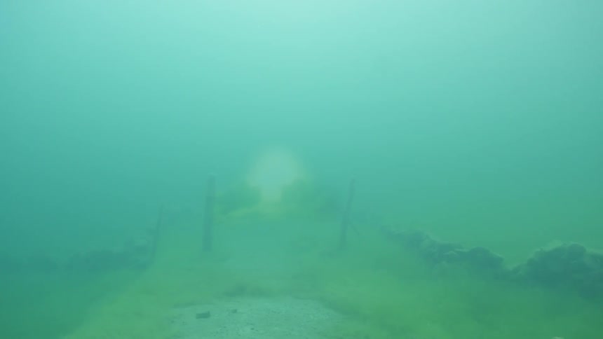 Murky water with algae on the ocean floor