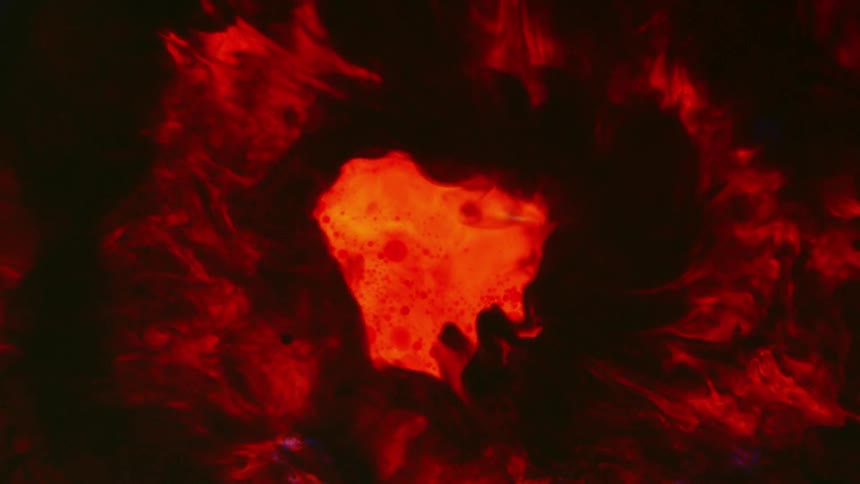 Boiling liquid bubbles as it boils