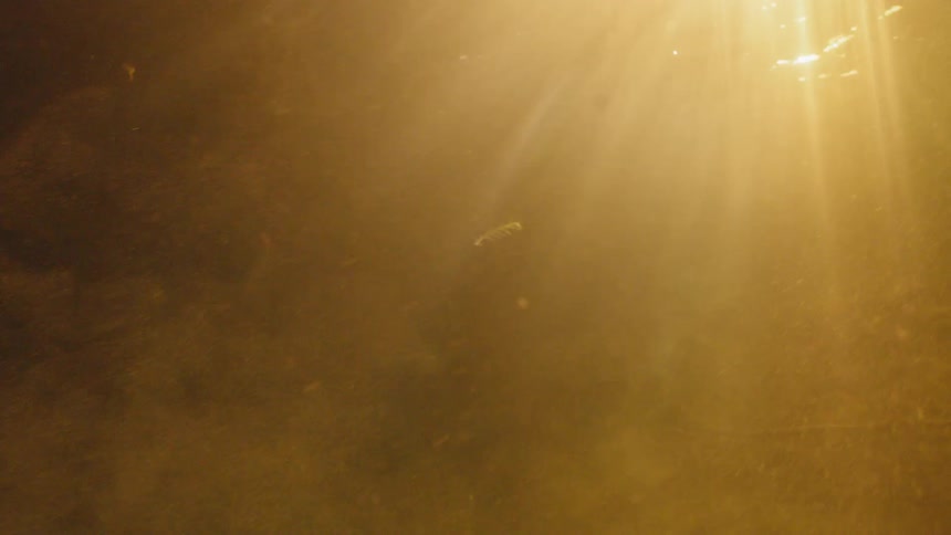 Light streams underwater
