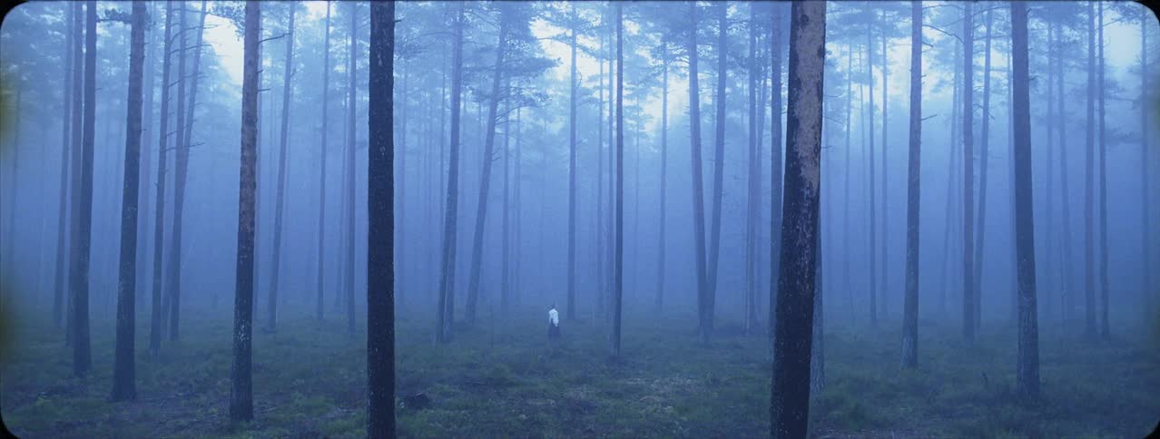 Woman is looking around in middle of foggy forest