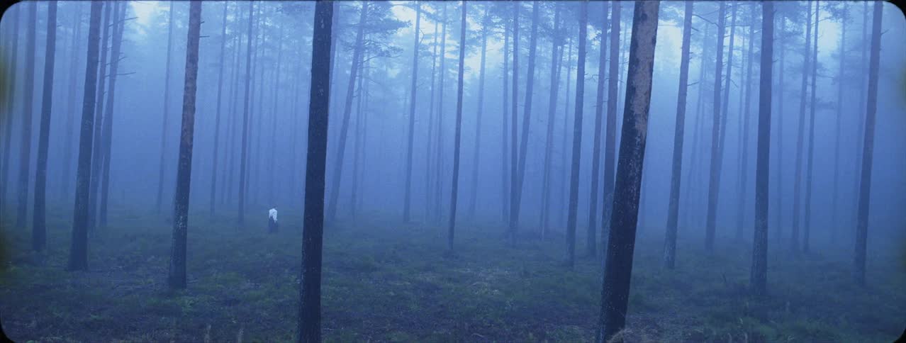 A woman walks through the hazy woods