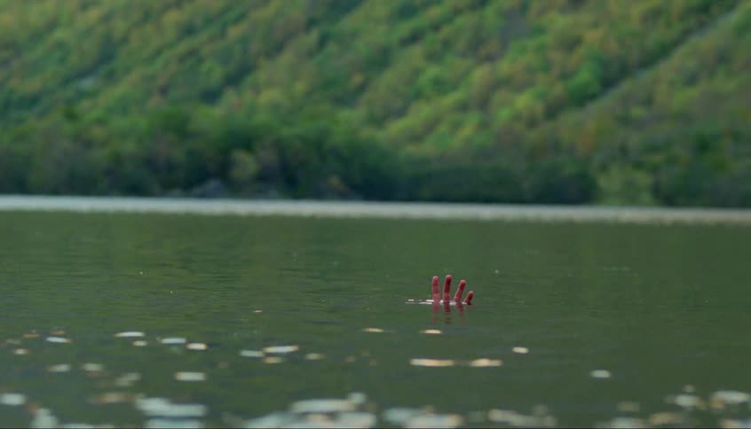 A person reaches their hand up in the lake