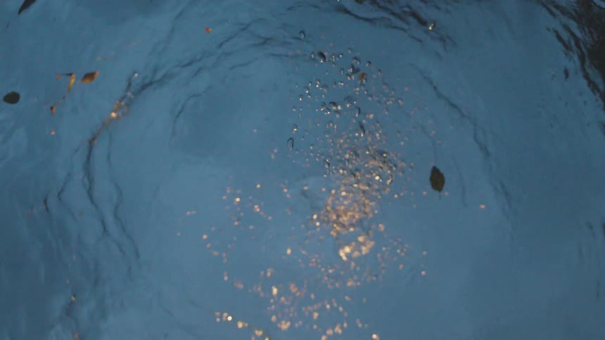 Leaves and bubbles splash into a pool of water