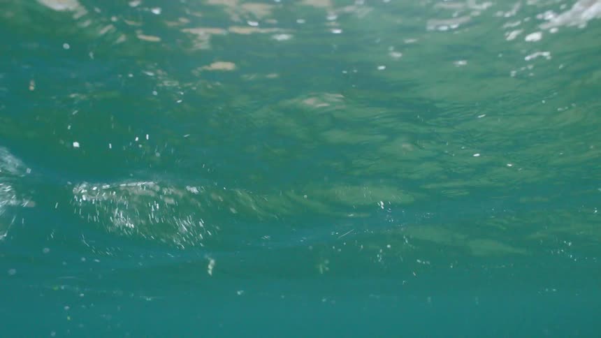 Water ripples on an ocean surface