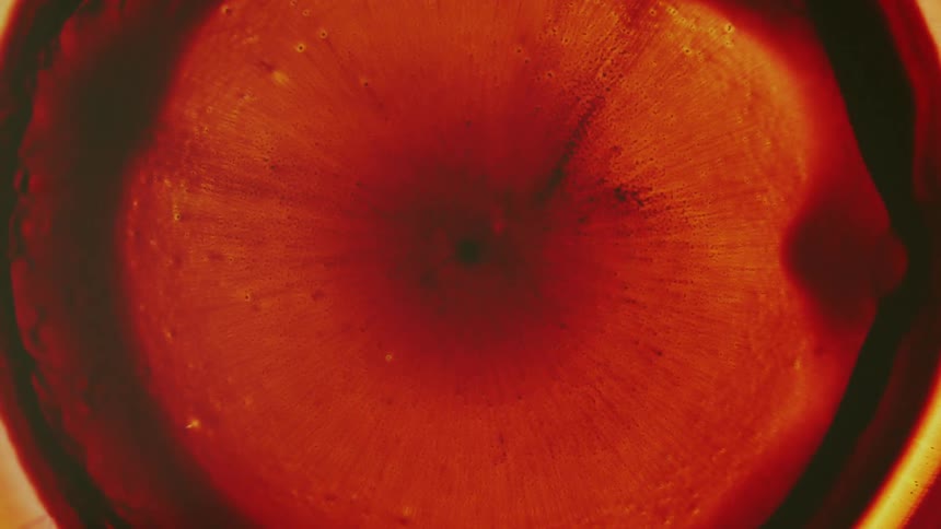 A burst of color on a black background in rings and circles