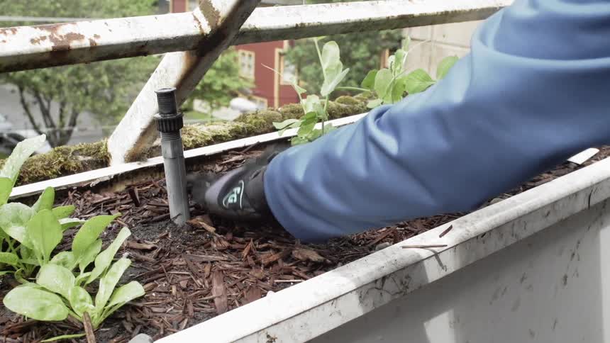 A person is patting the soil down in the garden