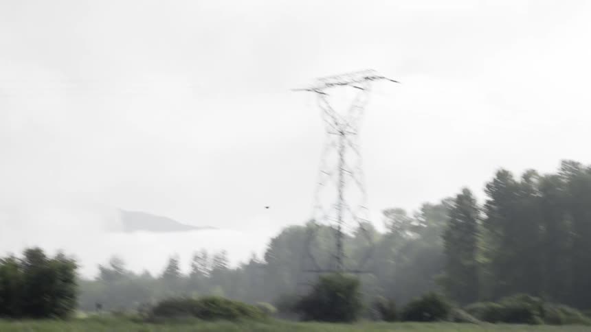 The bird flies past the power lines