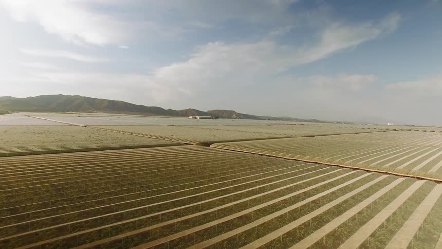 The farm fields are full and quartered