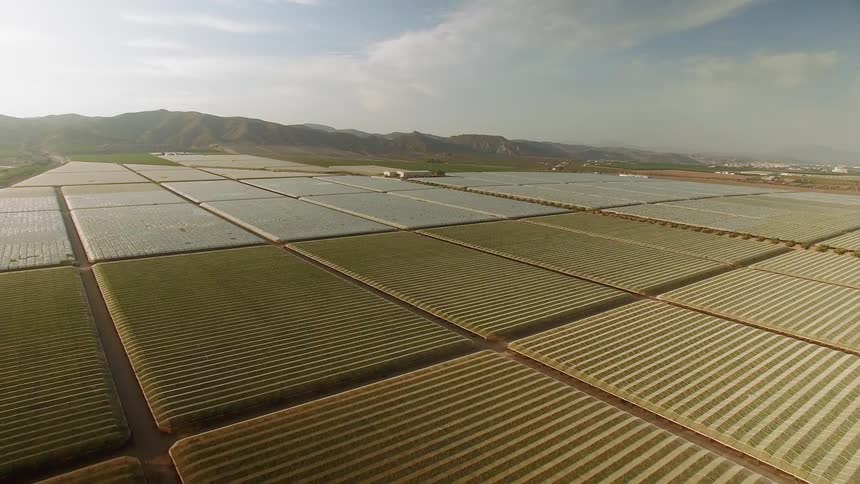 The farm is separated into identical sized squares