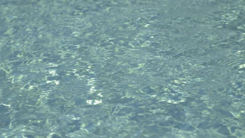 Clear water shimmers in the sunlight