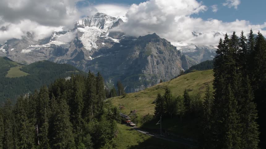 The tall trees line the road on the hill as a bus passes