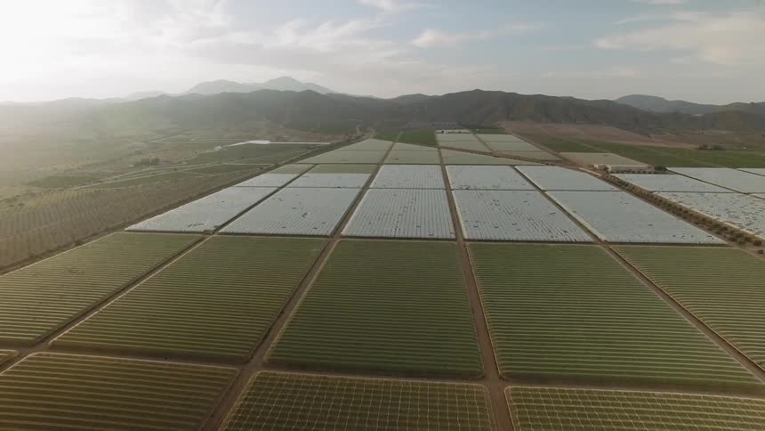 Crops in a field are divided into rows and grids some covered