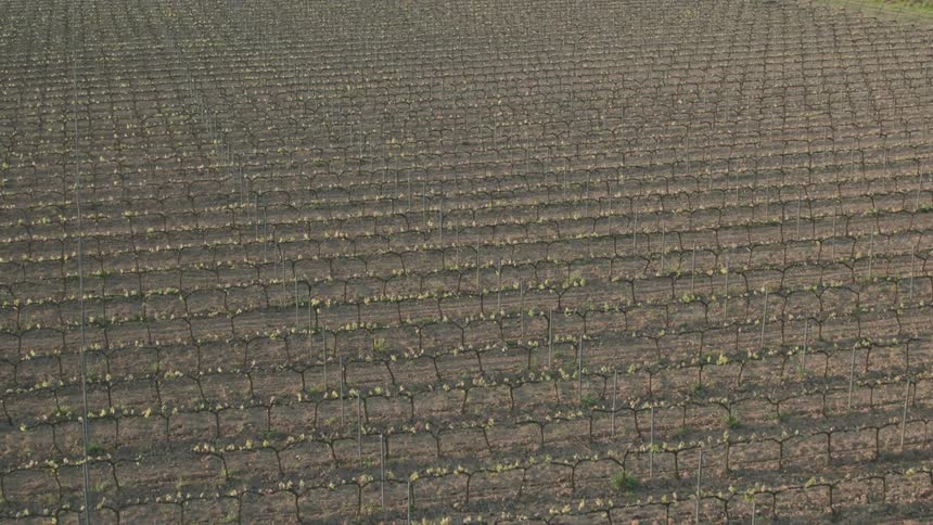 The long fields are gray and covered with plants
