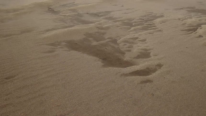 Sand blowing across a field