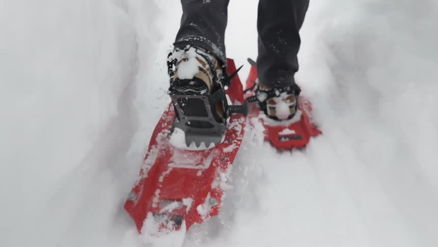 Friends Snowshoeing