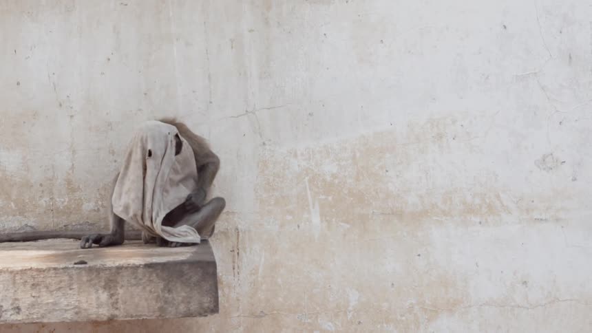 Monkey sits with shirt over its head