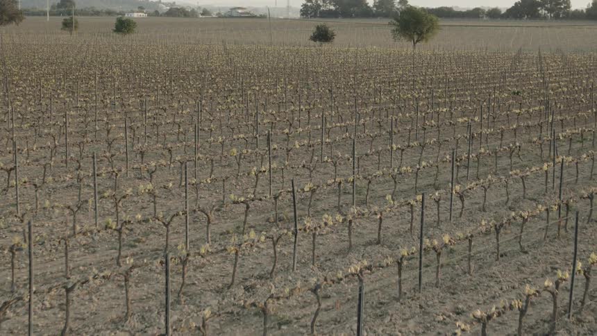 The fields are brown and barren