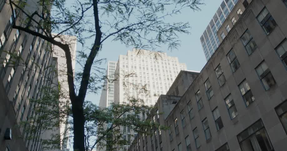 The tall buildings have many windows on a sunny day