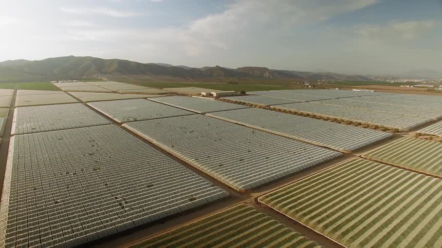 Many greenhouses cover an agricultural field