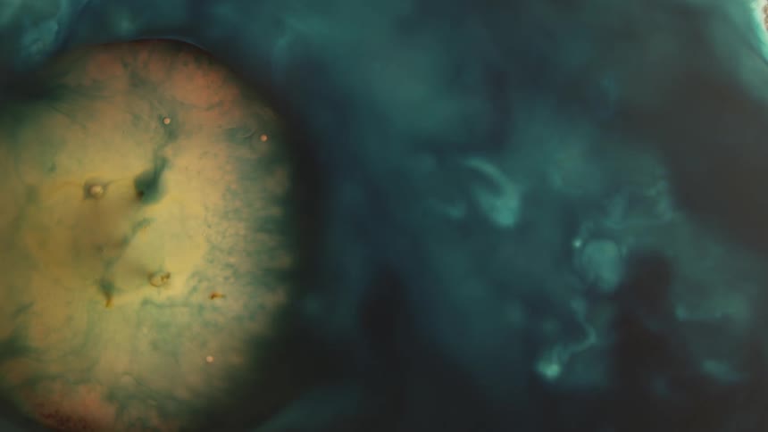Microscopic view of a cell
