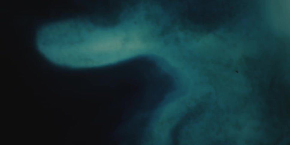 Misty blue smoke
