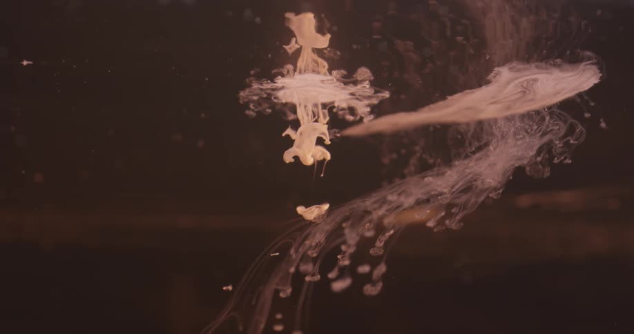 White liquid dropping into a dark pool and spreading