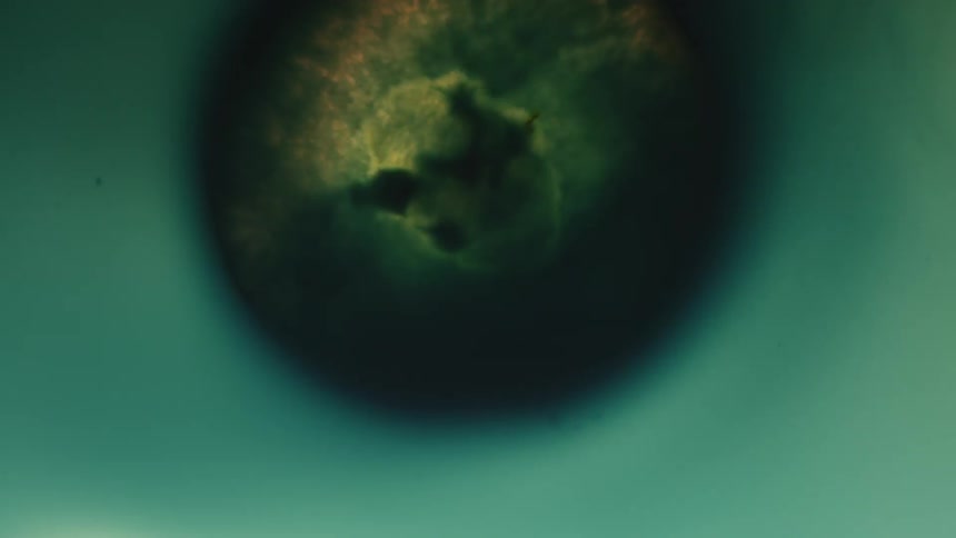 Abstract Microscopic Organisms