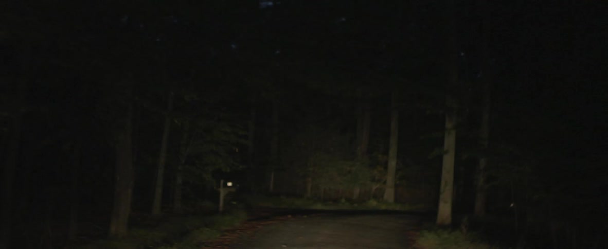 A light illuminates a road in the woods at night