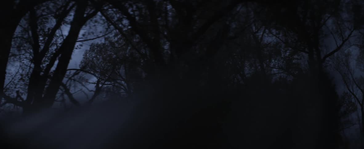 View of clouds and trees at night