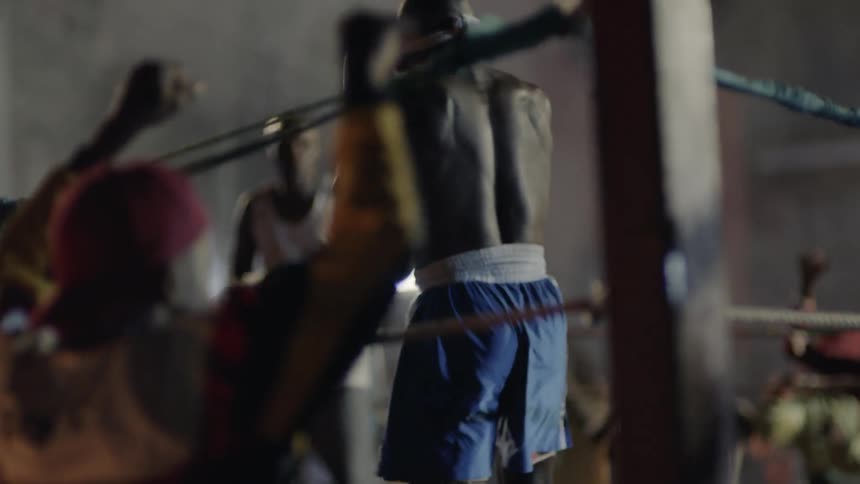 A crowd cheers at an outdoor boxing match