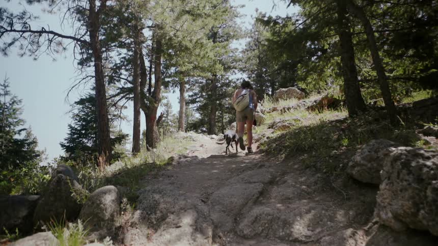 Woman hikes with a dog in mountains
