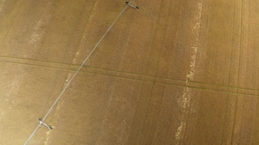 Crops are irrigated on a farm