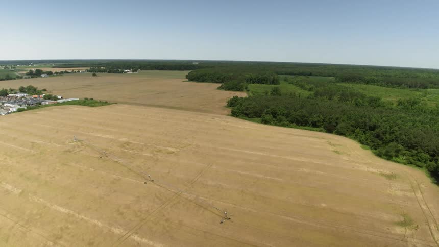 Crops are irrigated on a farm