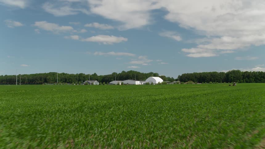 Crops grow on a rural farm