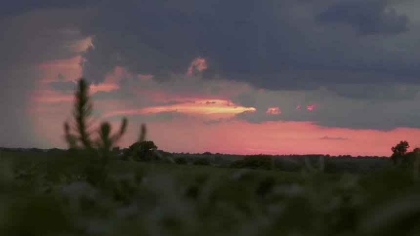Country Field with a Stormy Sunset