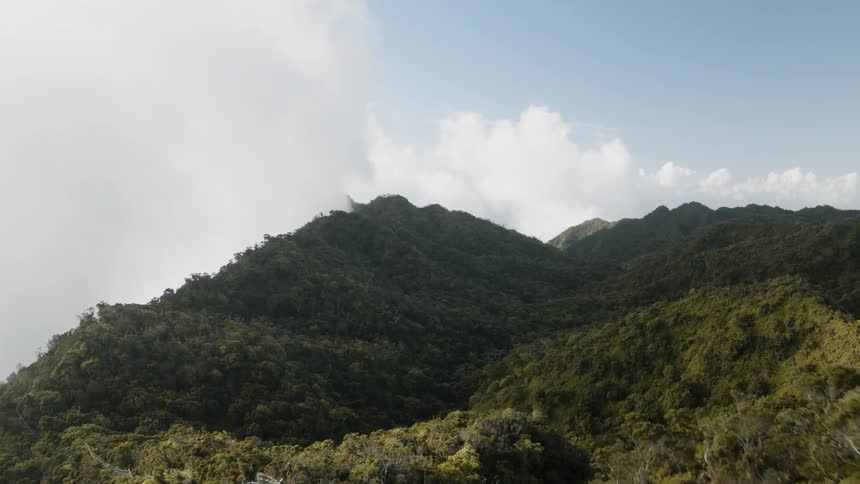 Hawaii Hiking