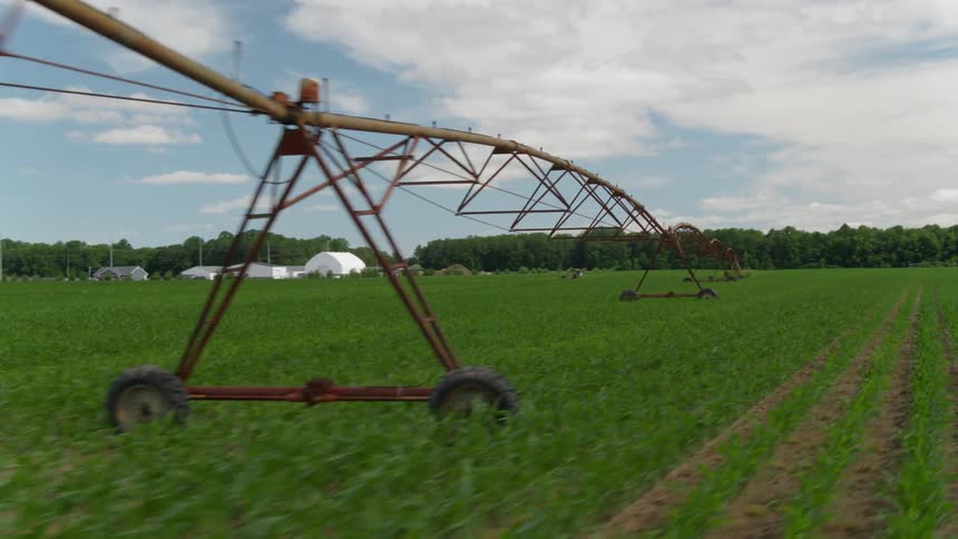 Crops are irrigated on a farm