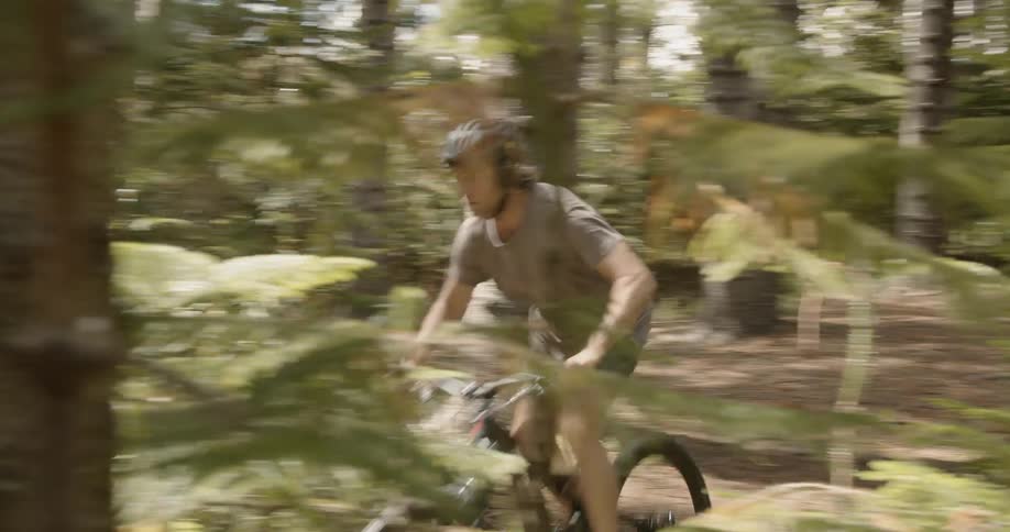Two men bicycle in a forest