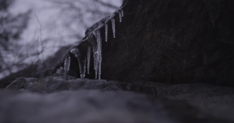Icicles hanging from the side of a rock