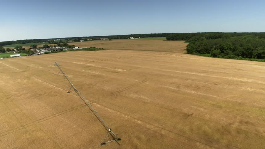 Crops are irrigated on a farm
