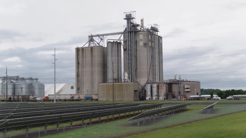 Rows of crops and tall buildings in farmland