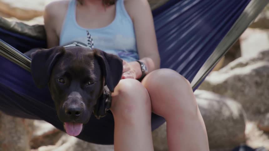 Woman and dog swing in a hammock