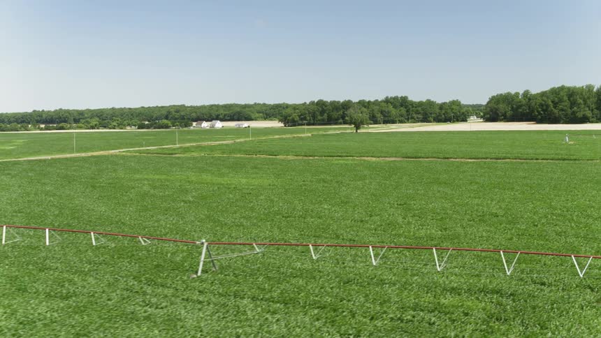 Crops are irrigated on a farm