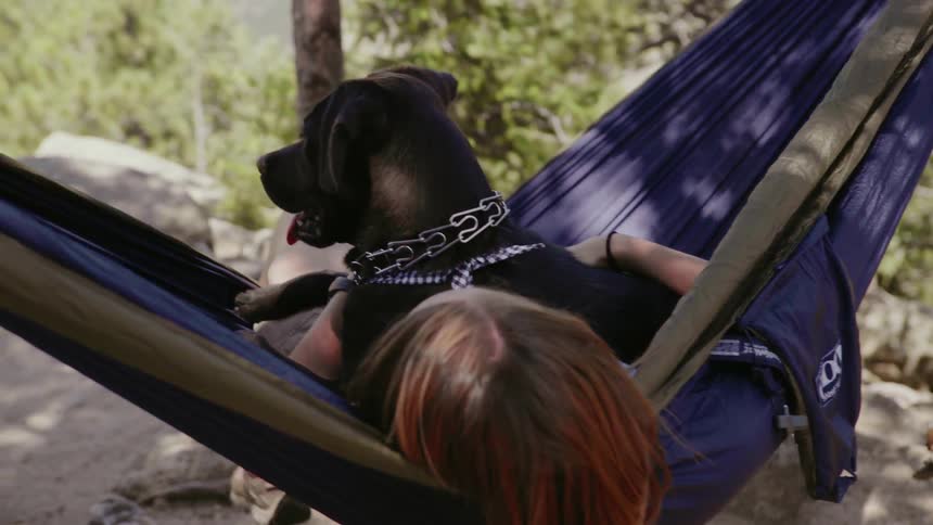 Woman Hammocking With Dog