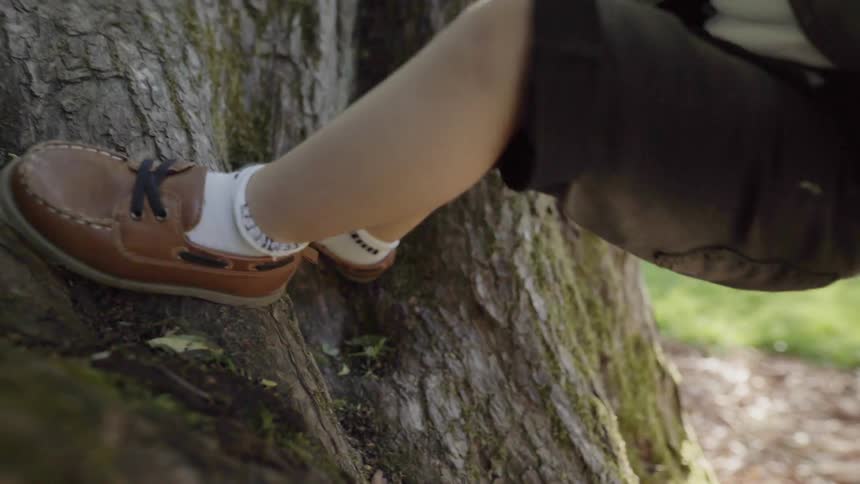 A young child climbing up the trunk of a large tree outdoors in nature.