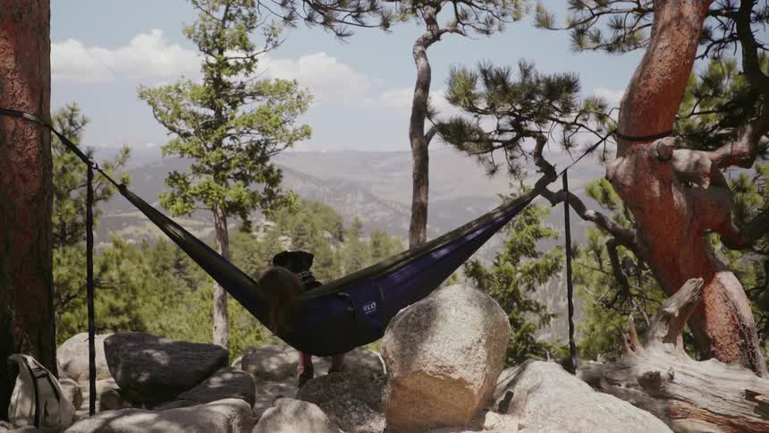 Woman and dog swing in a hammock in mountains