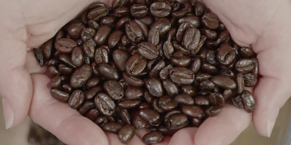 Coffee beans in hands