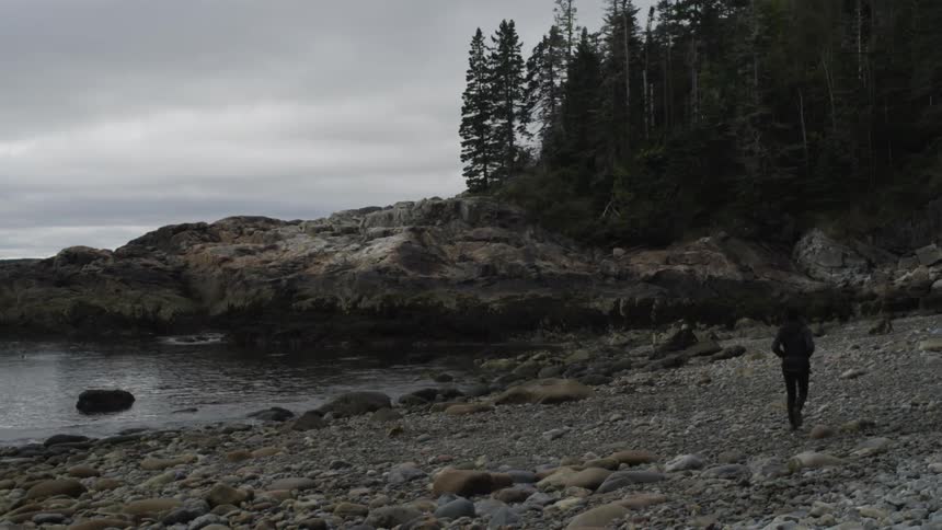 A man walking down the beach