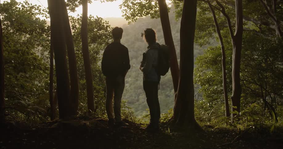 Two men are taking in a scenic view in a natural setting in daylight