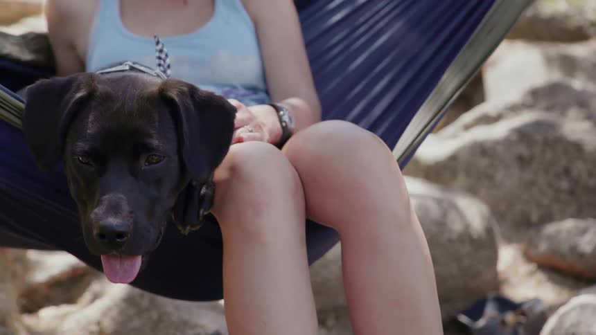 Woman Hammocking With Dog